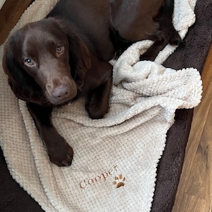 May include: A brown dog with long fur is lying on a beige dog bed with the name "Cooper" embroidered on it.