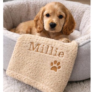May include: A golden Cocker Spaniel puppy lies in a soft, light grey dog bed. A beige, fluffy pillow with the name "Millie" embroidered in brown and a paw print is in the foreground.