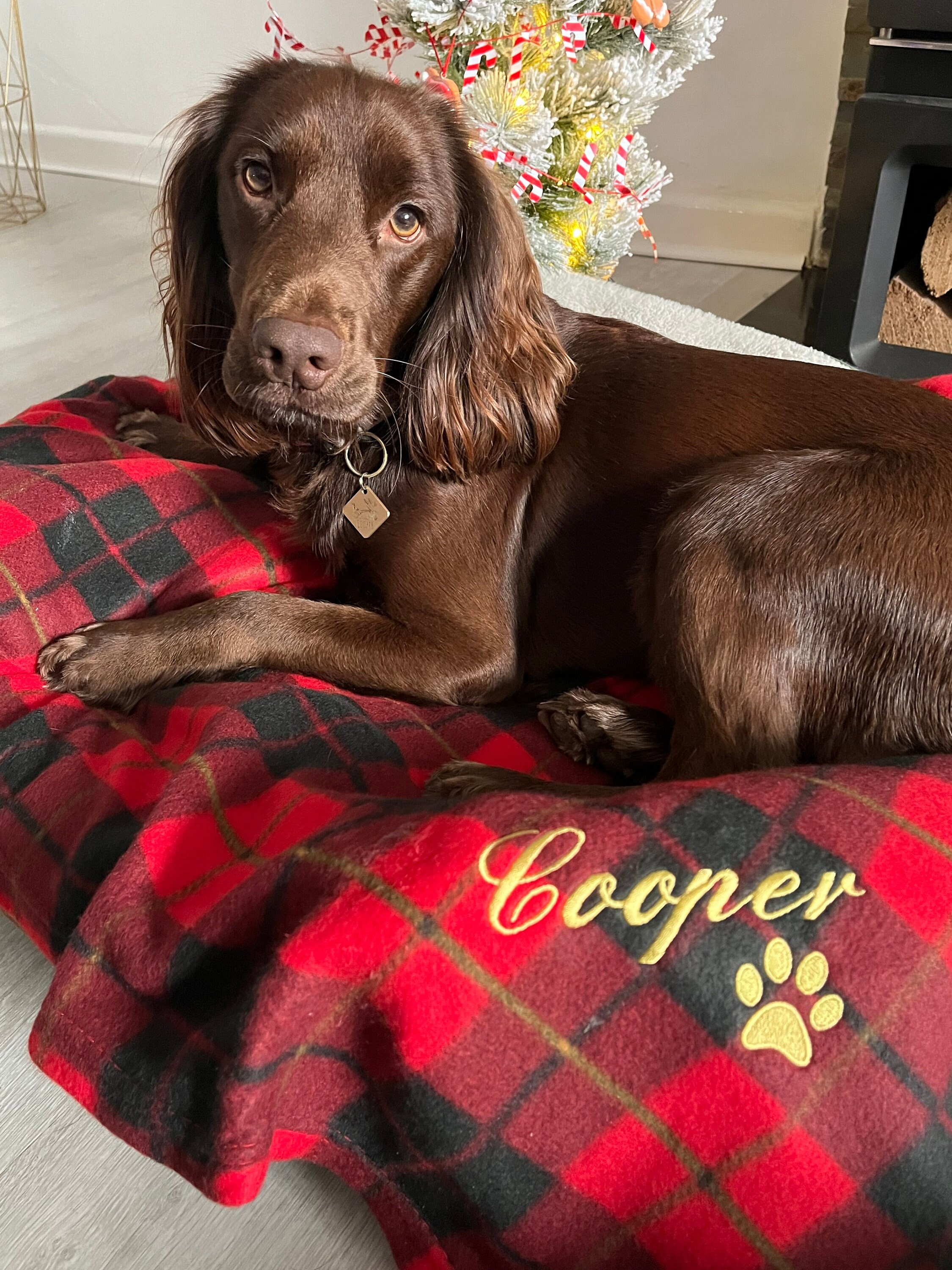 Red tartan dog blanket new arrivals