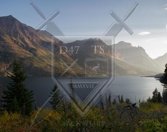 ジョー・モンタナ直筆サイン入り 11 x 14 写真 モンタナ個人ホログラム