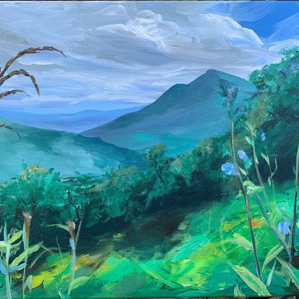 Blue Ridge Summer- Original acrylic painting, Blue Ridge Parkway, Wildflowers