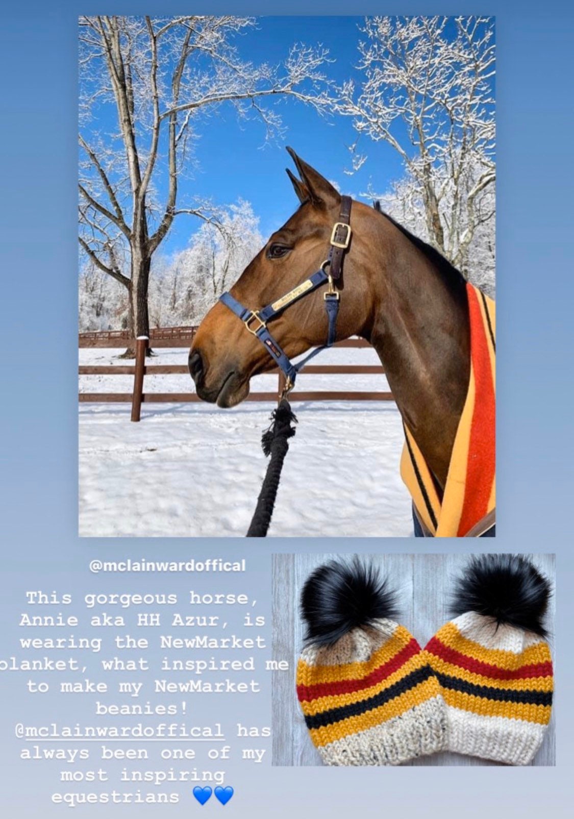 Newmarket Beanie Chunky Knit Equestrian Beanie Winter Hat Etsy