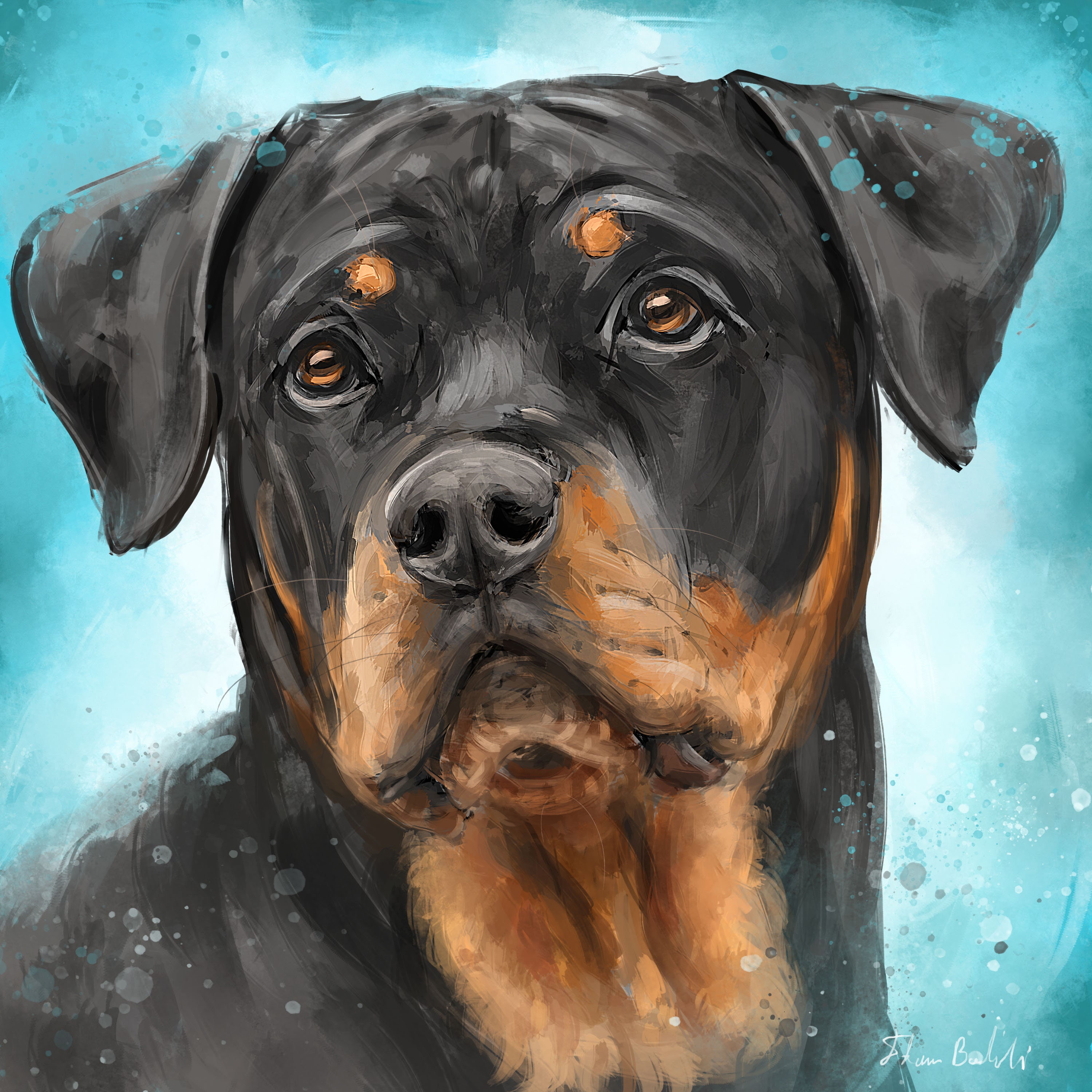 Painting of a Rottweiler Printed on 12 X 12 Etsy