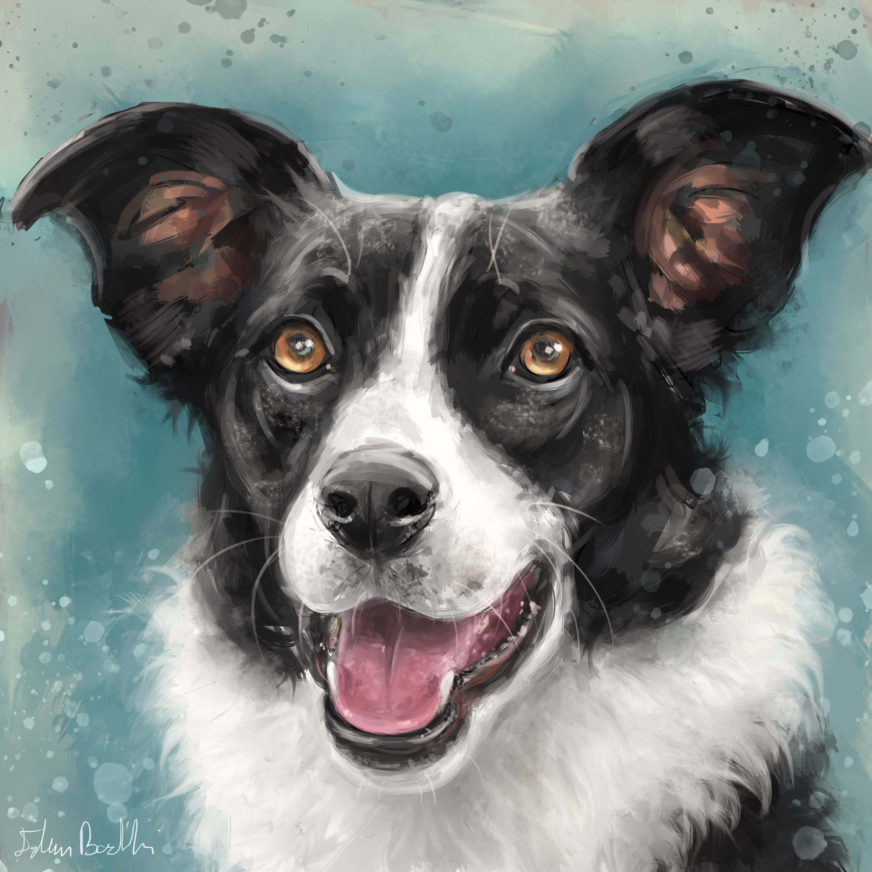 What Kind Of Bruksh For Border Collie