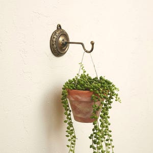 Wandhaken aus massivem Messing - Vintage Pflanzenaufhänger, minimalistische Wanddekoration, handgefertigte Wandhaken