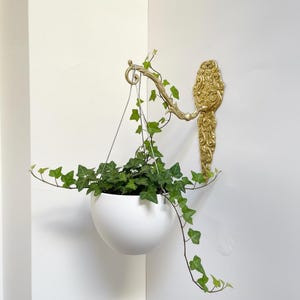 Brass Plant Hanger Bracket: Antique Style Gold Wall Decor