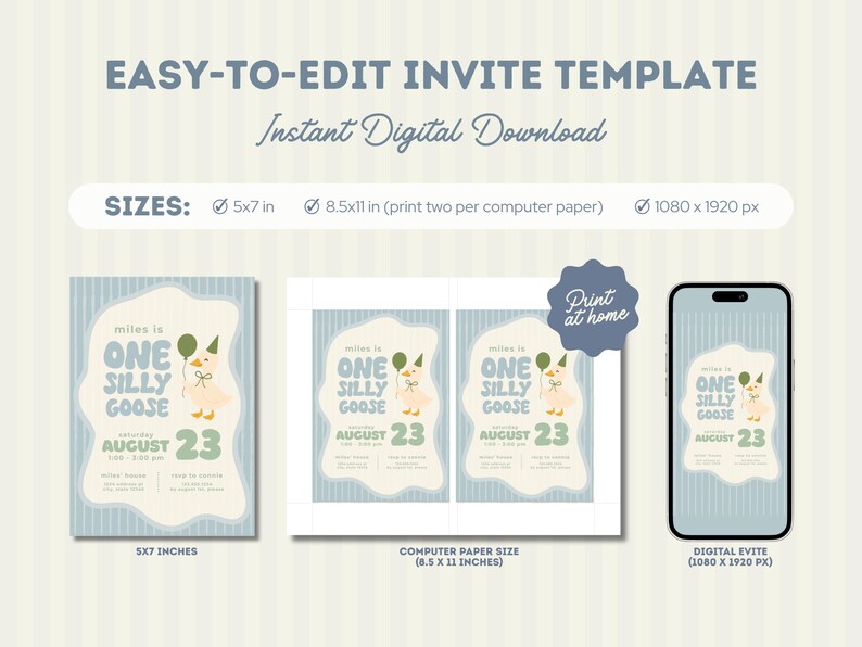 May include: Digital invitation template for a first birthday party. The design features a whimsical goose illustration with the text "One Silly Goose" and the date "August 23". Available in 5x7 inches, 8.5x11 inches, and digital evite sizes.