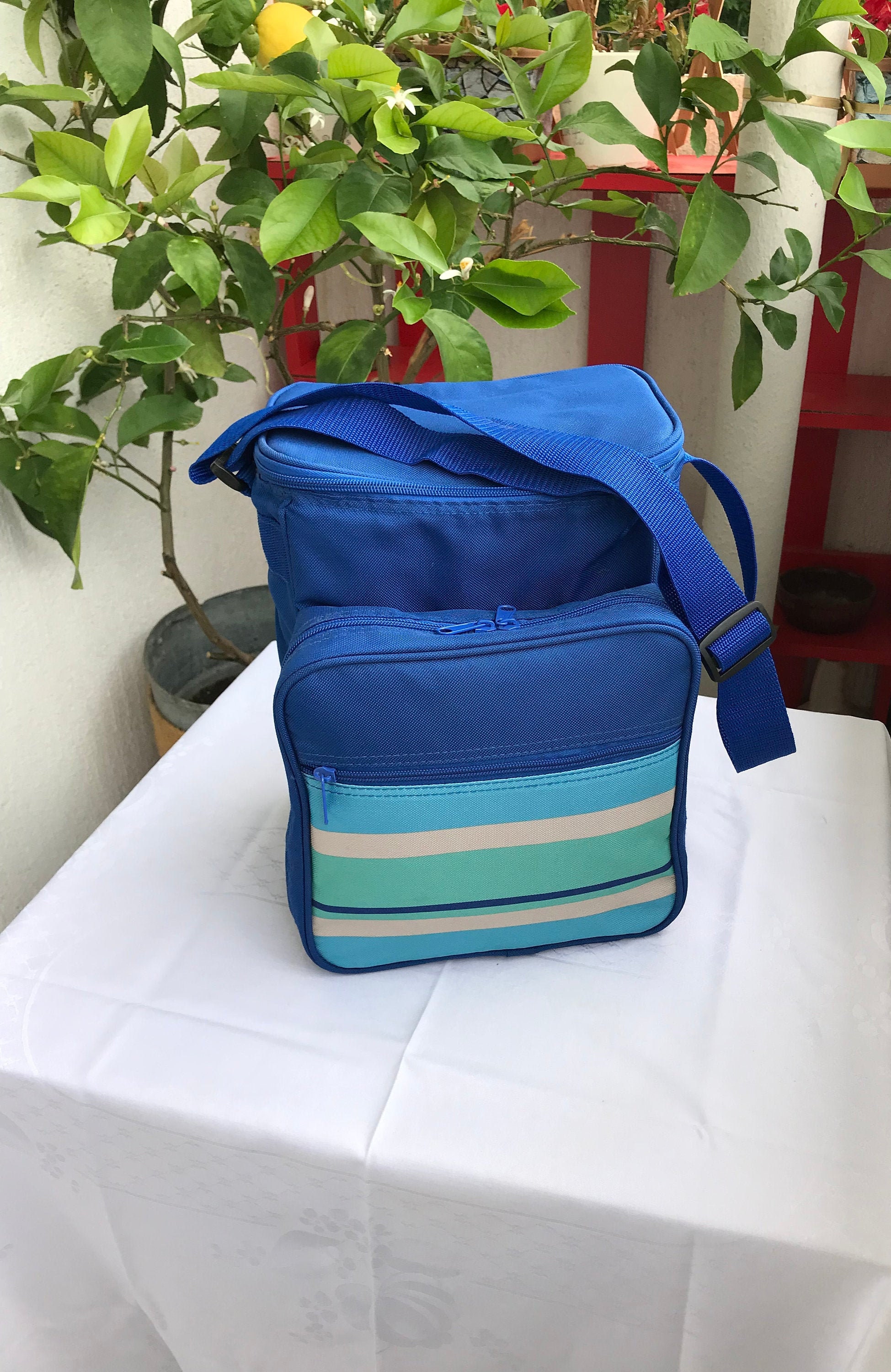 Vintage Picnic Backpack picnic Basket picnic Cooler backpack for