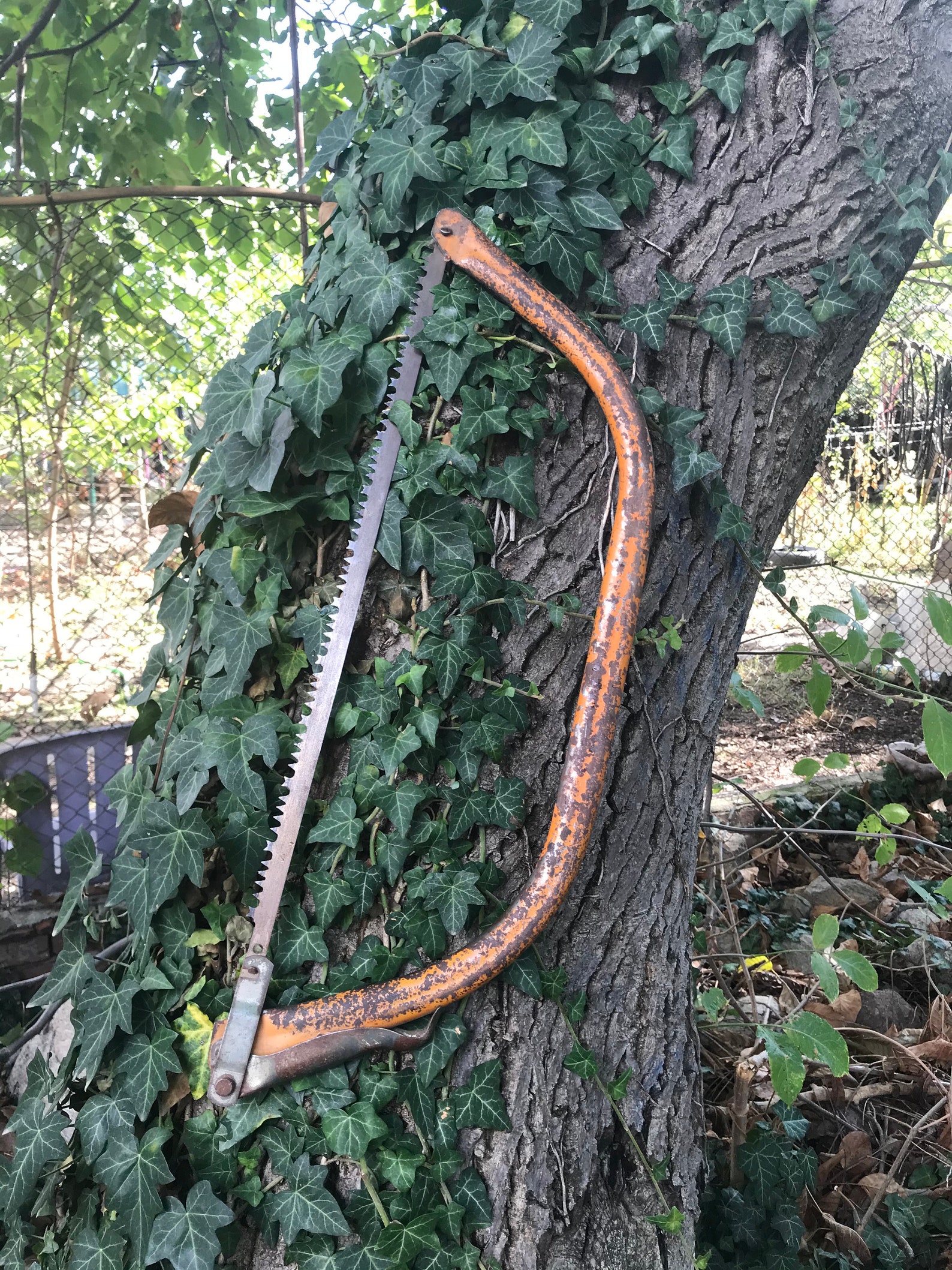 Vintage Old Saw Woodworking Hacksaw Bow Saw Large Saw antique Saw Saw