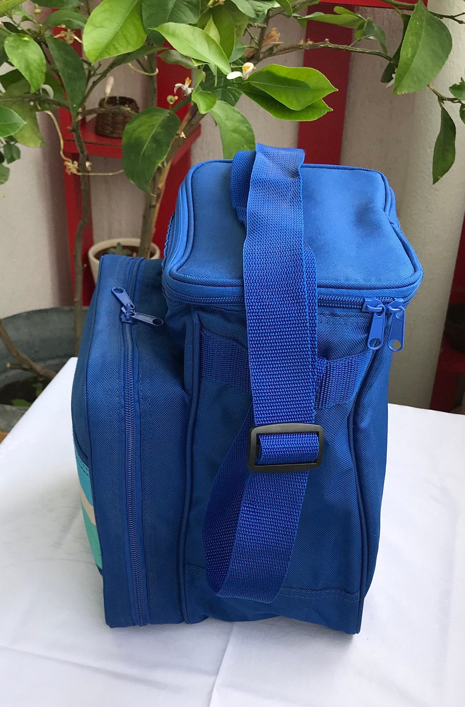 Vintage Picnic Backpack picnic Basket picnic Cooler backpack for