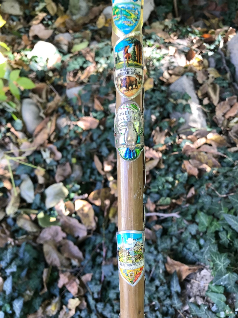 Puede incluir: Un bast&oacute;n de senderismo vintage hecho de bamb&uacute; marr&oacute;n claro, adornado con varias insignias met&aacute;licas. Las insignias presentan im&aacute;genes coloridas de paisajes, animales y texto, incluyendo "Wiedeburge", "Auerichtsplatz" y "Vogelpark Walsrode".