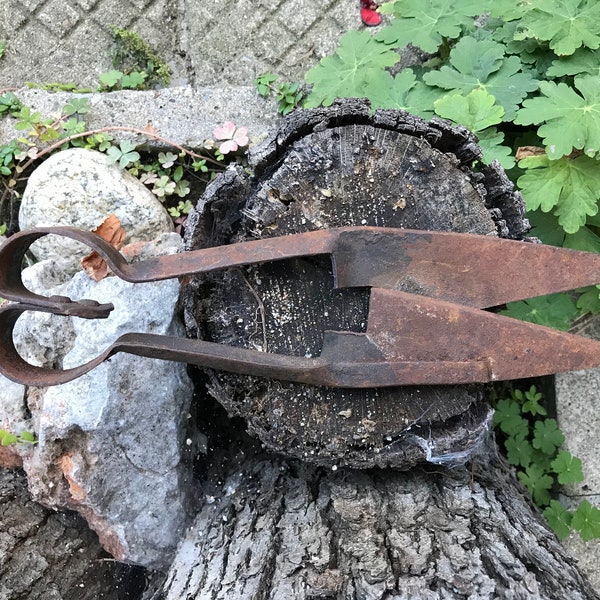 Vintage antique sheep scissors - rusty metal sheep shears - large rust scissors - antique primitive sheep hand - forged Iron scissors shear