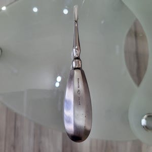 Élévateur Dentaire Incurvé 2mm En Acier Inoxydable – Kit Chirurgical Vétérinaire