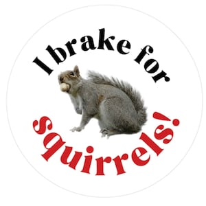 I Brake for Squirrels Kiss-Cut Vinyl Aufkleber/3x3