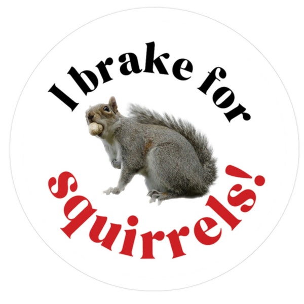 I Brake for Squirrels Kiss-Cut Vinyl Decal/3x3