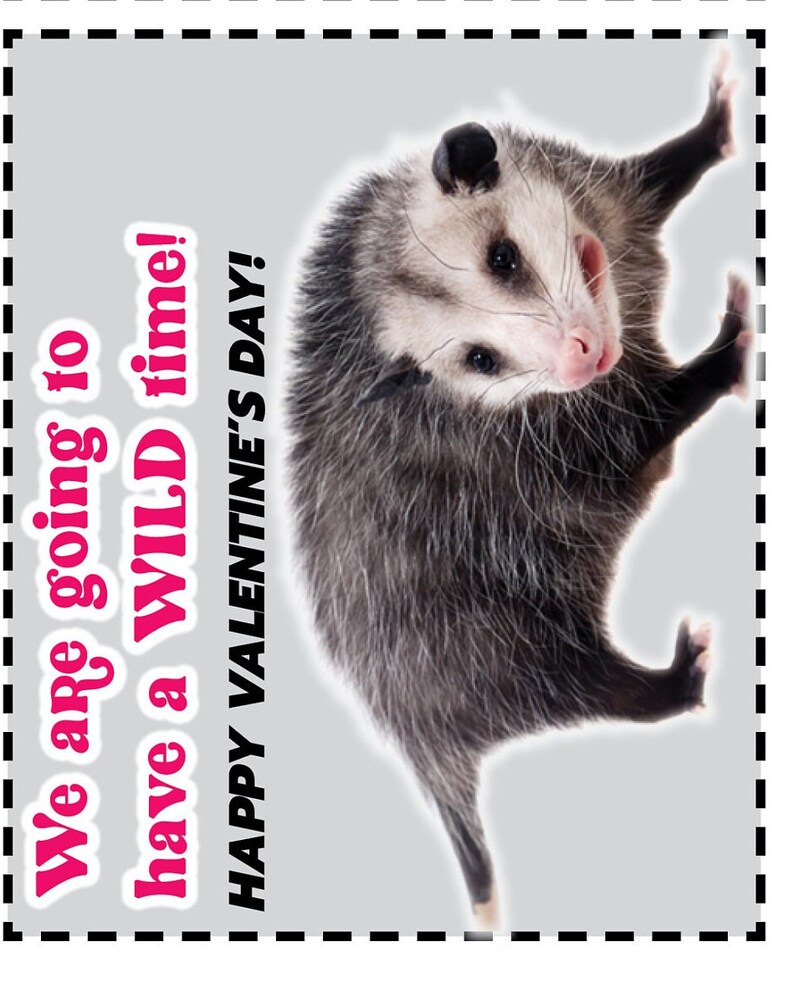 WILDLIFE VALENTINE Cards/reptiles/digital Download/printable - Etsy