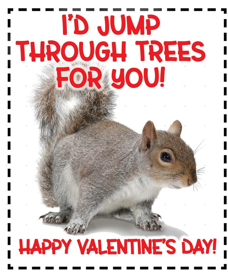 WILDLIFE VALENTINE Cards/reptiles/digital Download/printable - Etsy