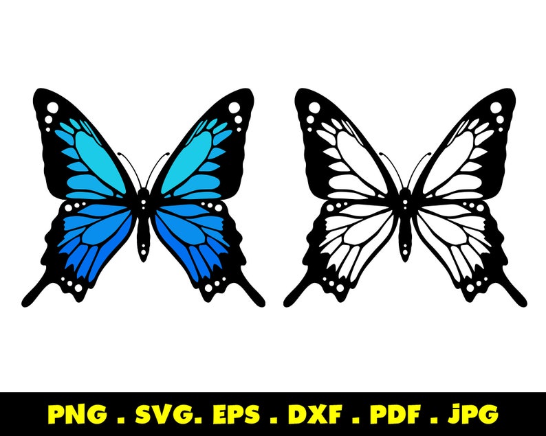 Download Butterfly SVG Layered Clipart Decal Silhouette Svg | Etsy