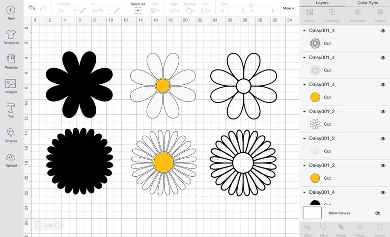 Download Daisy SVG Flower Floral Pattern Summer Layered | Etsy