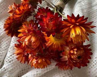 Dried Flowers strawflowers bunch set of 20