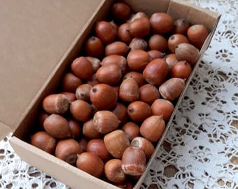 May include: A cardboard box filled with numerous brown acorns. The acorns have a smooth, rounded shape and vary slightly in color, ranging from light tan to a deeper brown. The box is open, revealing the contents.