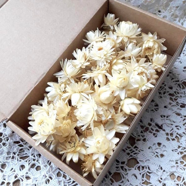 50 Organic Small Dried Beige Straw flowers Weddings decor Dried Flower Confetti florist supply DIY supply set of 50