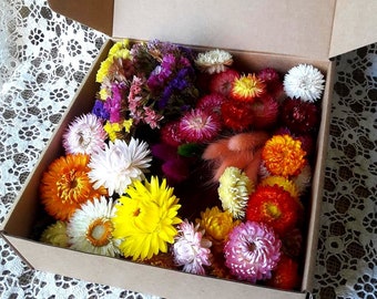 Caja para la creatividad a partir de flores secas Surtido de artesanías arcoíris Suministro de floristas Caja de regalo para floristas amantes de las flores