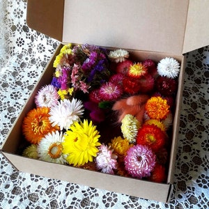 Boîte créative à base de fleurs séchées Assortiment d&#39;objets d&#39;artisanat arc-en-ciel Fourniture de fleuristes Boîte cadeau pour fleuristes amateurs de fleurs