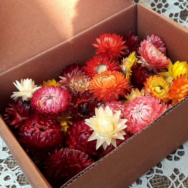 30 Bio-getrocknete mehrfarbige Strohblumen, Hochzeitsdekoration, getrocknete Blumen, Konfetti, Floristenbedarf, DIY-Versorgungsset mit 30 Stück