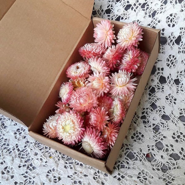 30 Organic Dried Light Pink Strawflowers Weddings decor Dried Flower Confetti florist supply DIY supply set of 30
