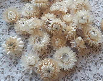 May include: A collection of dried white flowers with a delicate, papery texture. The flowers are arranged on a white crocheted surface.