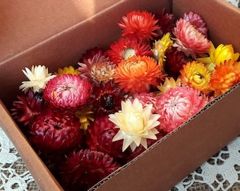 Puede incluir: Una caja llena de flores secas de varios colores, incluyendo rojo, naranja, amarillo y blanco. Las flores están dispuestas en un patrón aleatorio y todas están en flor.