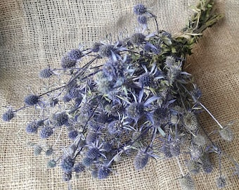 Blue Dried Flowers Bunch of dried wild Eryngium Dried Blue Thistle blue thistle bouquet Bunch of Dried Sea Holl