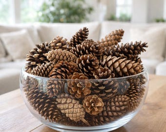 May include: A clear glass bowl filled with various sizes of brown pine cones. The bowl sits on a wooden table, with a blurred background of a white couch and window. The pine cones are a natural decorative element.