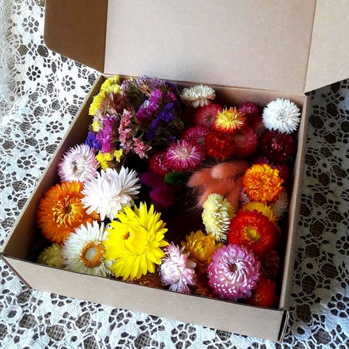 Boîte créative à base de fleurs séchées Assortiment d'objets d'artisanat arc-en-ciel Fourniture de fleuristes Boîte cadeau pour les fleuristes amateurs de fleurs