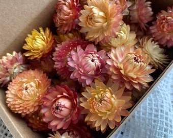 30 cabezas de flores de paja de melocotón de albaricoque seco orgánico suministro de floristería de flores secas conjunto de suministro de bricolaje de 30