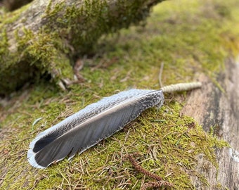 Turkey smudge feather Prayer Ceremonial Spiritual Feather