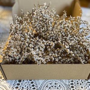 Dried German Statice: White Flowers for Wedding Decor