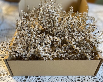 Dried German Statice: White Flowers for Wedding Decor