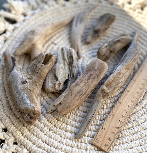 Mini Driftwood Per Acquario - 10 Pezzi, Legno Naturale, Per Decorazione E Riparo Pesci - Foto 5