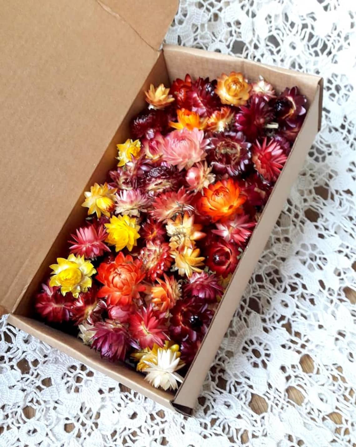 100 Organic Small Dried Flowers Mixed Colors Strawflowers Etsy