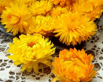 30 Dried Yellow Strawflowers: Rustic Wedding Decor