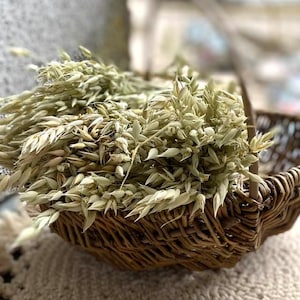 Ramo de hierba de avena seca natural, decoración de boda bohemia estilo campestre, relleno para jarrón, ramo de flores secas, juego de 30 tallos.