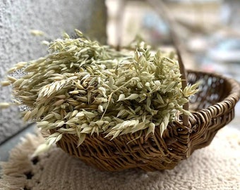 Ramo de hierba de avena seca natural, decoración de boda bohemia estilo campestre, relleno para jarrón, ramo de flores secas, juego de 30 tallos.