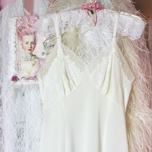 Vintage 60s 70s Exquisite Seamprufe Cream Floral Lace Slip, Sexy Embroidered Vintage Slip Dress, Romantic Lingerie Slips, Tall 36