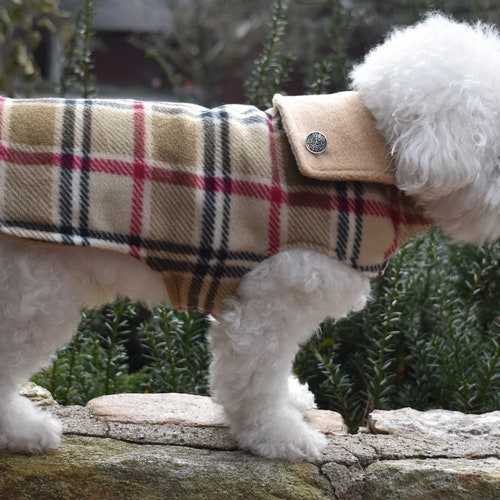 burberry dog coats