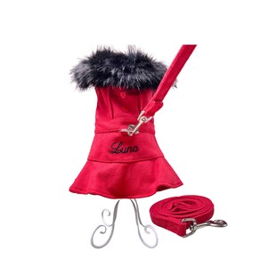 Personalized Red Holiday Dog Coat and Leash Set for Girls, Christmas Dog Coat, Fancy Dog Coat, Designer Dog Coat, Dog Coats for Small Dogs