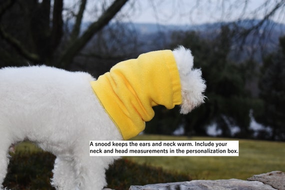 sassy dog fashions