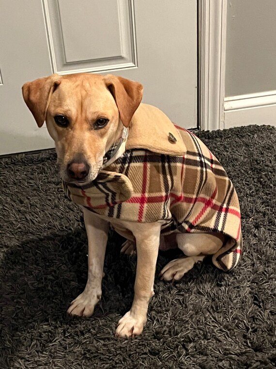 Best Custom Tan Plaid Dog Coat Warm Plaid Fleece Dog Sweater Small to Large TAILORING Option for Glove Fit Tan Tartan Winter Dog Coat A9 Etsy UK