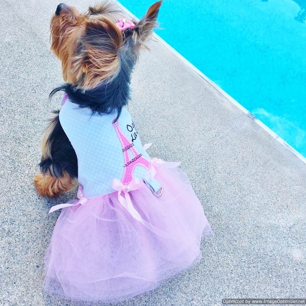 Bella & Friends La Parisienne Pink Couture Tutu Party Dress for Luxury Female Pet Dogs Wedding Event Fancy Girly Designer Couture Clothes